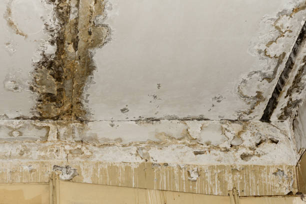 Best Emergency water damage restoration  in Kansas City, KS